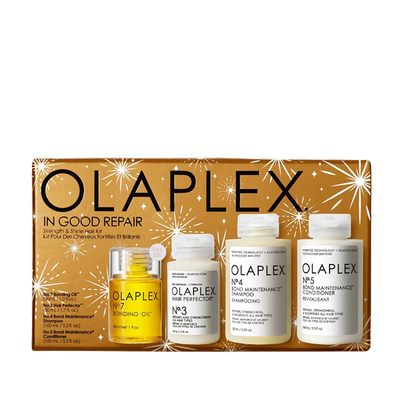 IN GOOD REPAIR KIT HAIR RESTORATION AND SHINE SET